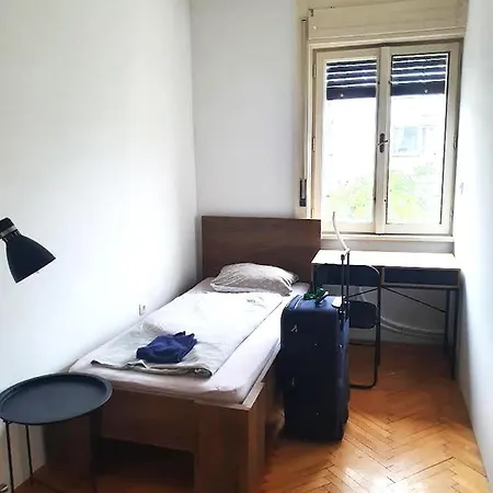 Old Spacious In The City Center * Laibach